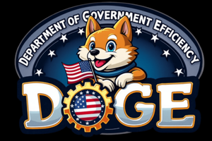 Department of Government Efficiency