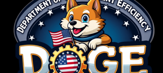 Department of Government Efficiency